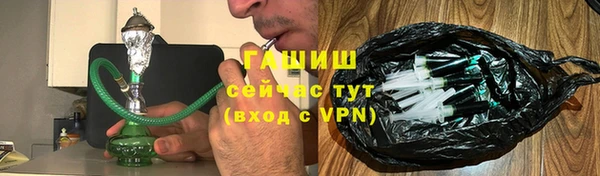 гидра Каменка