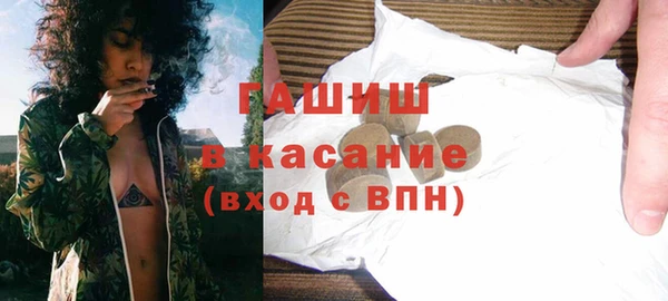 гидра Каменка