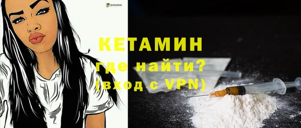 гидра Каменка