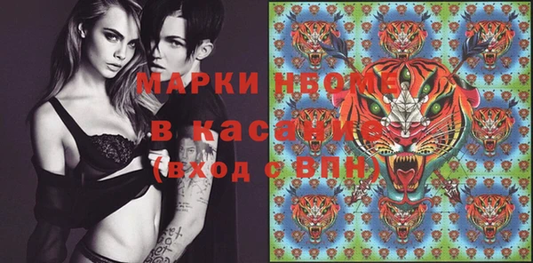 гидра Каменка