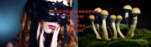 гидра Каменка