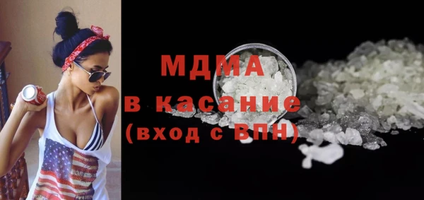 гидра Каменка