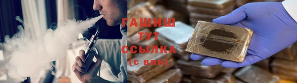 гидра Каменка
