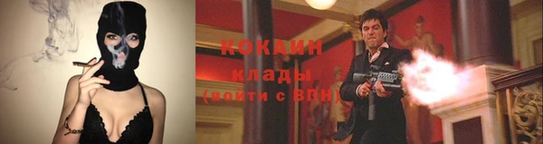 гидра Каменка
