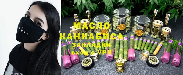гидра Каменка