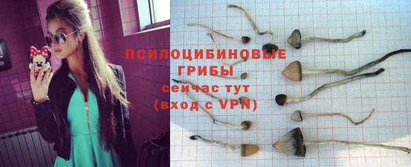 мескалин Каменск-Шахтинский