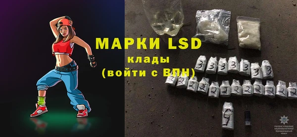 гидра Каменка