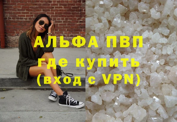 гидра Каменка