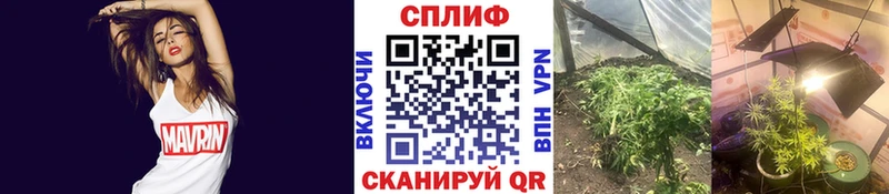 Бошки марихуана ГИДРОПОН  Купить закладки  Донской 